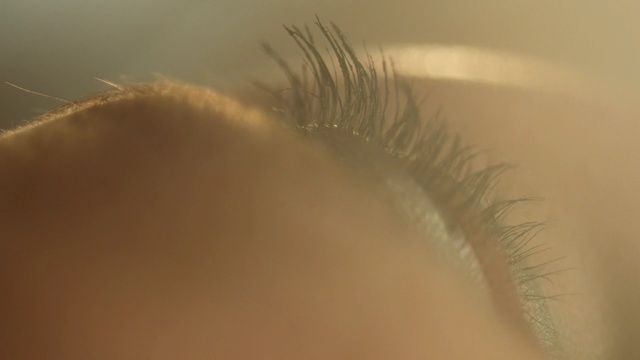 Video Reference: eyebrow, eyelash, eye, close up, macro photography, forehead, lip, sky, eyelash extensions, iris