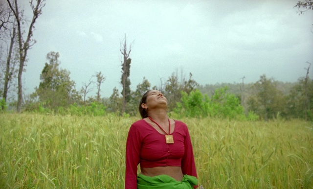 Video Reference: People in nature, Grassland, Nature, Meadow, Grass, Prairie, Natural environment, Field, Grass family, Ecoregion