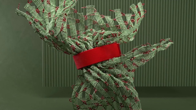 Video Reference: Green, Plant, Tree, Textile, Hand, Flower, Sleeve