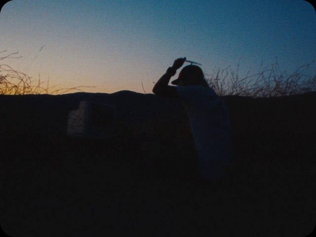 Video Reference: Sky, Branch, Flash photography, Automotive mirror, Plant, Gesture, Dusk, Eyewear, Woody plant, Horizon