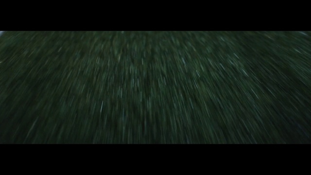 Video Reference: Green, Black, Nature, Darkness, Grass, Light, Atmosphere, Leaf, Wood, Tree