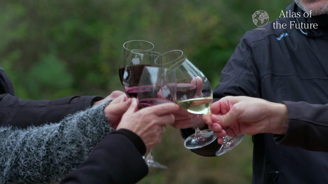 Video Reference: Wine glass, Drink, Alcohol, Stemware, Glass, Drinkware, Hand, Alcoholic beverage, Champagne stemware, Wine