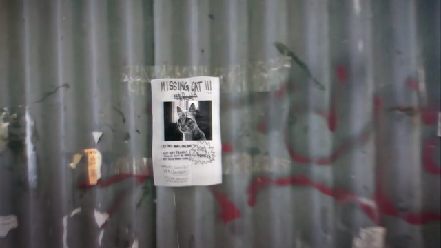 Video Reference: Wall, Curtain, Textile, Art, Person, Sitting, Table, White, Black, Bunch, Holding, Shower, Woman, Bed, Room, Man, Group, Standing, Text