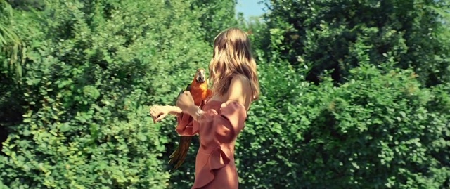 Video Reference: People in nature, Nature, Natural environment, Blond, Botany, Jungle, Summer, Forest, Organism, Fun