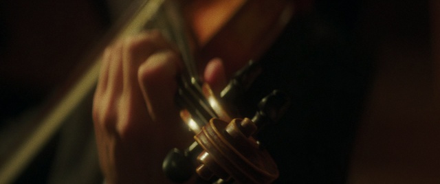 Video Reference: Music, Musical instrument, Close-up, String instrument, Photography, Musical instrument accessory, Audio equipment, Macro photography, Violin family, Violin