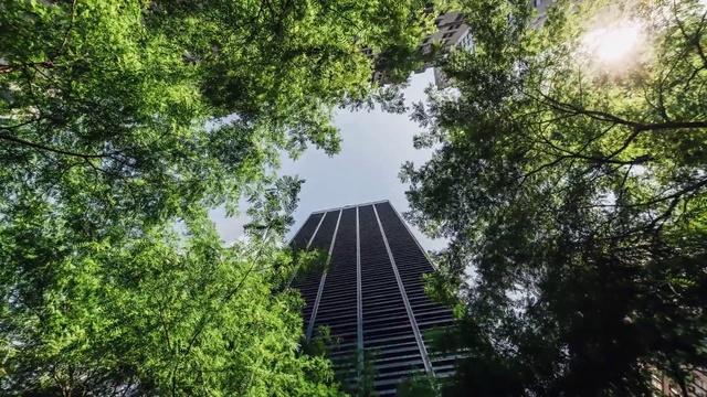 Video Reference: Nature, Vegetation, Tree, Nature reserve, Natural landscape, Natural environment, Architecture, Canopy walkway, Bridge, Jungle