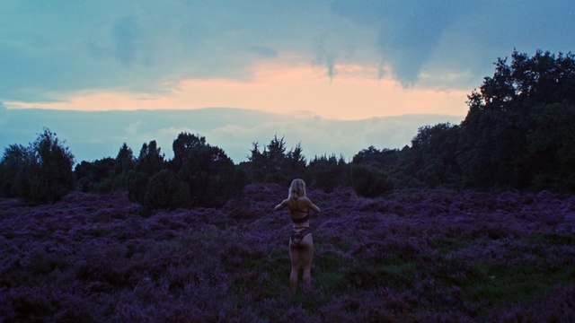 Video Reference: sky, wilderness, ecosystem, tree, atmosphere, morning, dawn, field, evening, grass
