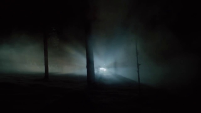 Video Reference: Darkness, Black, Sky, Atmospheric phenomenon, Atmosphere, Light, Night, Water, Tree, Mist