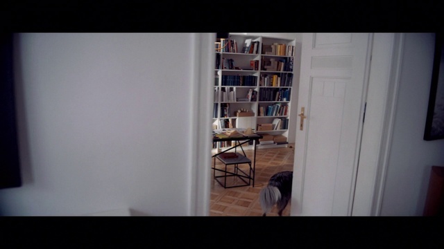 Video Reference: Shelf, Bookcase, Building, Chair, Wood, Shelving, Flooring, Hardwood, Window, Door