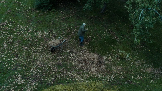 Video Reference: Vegetation, Grass, Green, Soil, Biome, Leaf, Tree, Lawn, Grass, Organism