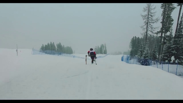 Video Reference: Sky, Snow, Sports equipment, Tree, Slope, Ski Equipment, Atmospheric phenomenon, Terrain, Ice cap, Winter sport