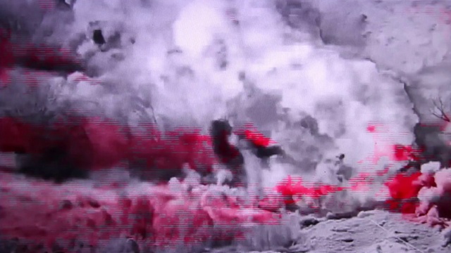 Video Reference: Pink, Red, Geological phenomenon, Sky, Crowd, Petal, Plant, Art, Flower, Magenta