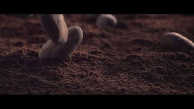 Video Reference: Nature, Soil, Close-up, Photography, Rock