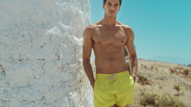 Video Reference: Head, Active shorts, Shorts, Muscle, Trunks, Bermuda shorts, Sky, board short, Waist, Barechested