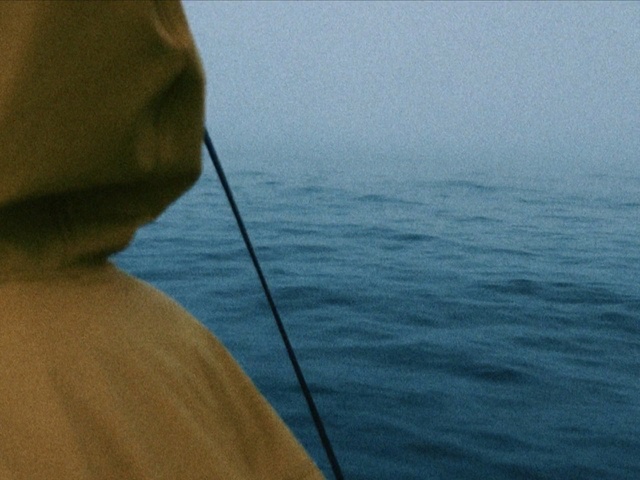 Video Reference: Fishing rod, Recreation, Fishing, Sea, Recreational fishing, Sound, Sky, Angling, Jigging, Ocean