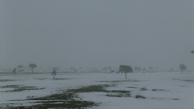 Video Reference: Atmospheric phenomenon, Snow, Sky, Water, Winter, Fog, Blizzard, Freezing, Winter storm, Mist