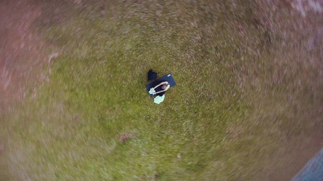 Video Reference: Plant, Wood, Grass, Slope, Tree, Grassland, Landscape, Electric blue, Soil, Extreme sport