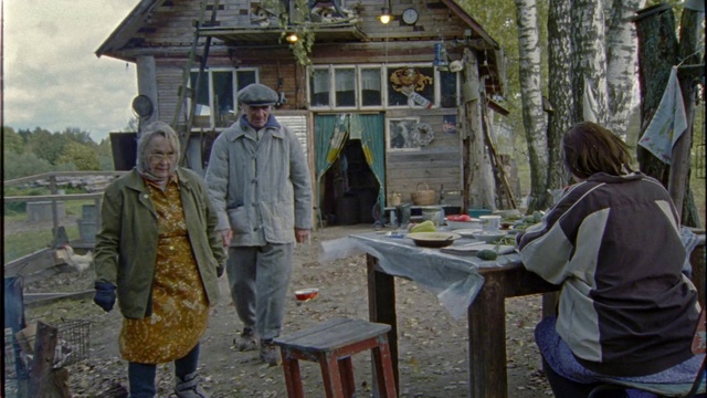 Video Reference: Tree, Log cabin, Shed, Cottage, State park