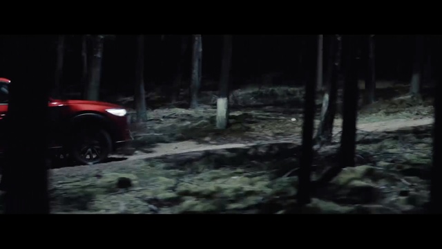 Video Reference: Darkness, Vehicle, Car, Automotive tire, Off-road vehicle, Off-roading, Tree, Tire, Automotive lighting, Forest