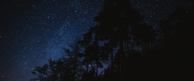 Video Reference: sky, atmosphere, nature, night, darkness, astronomical object, star, astronomy, tree, universe