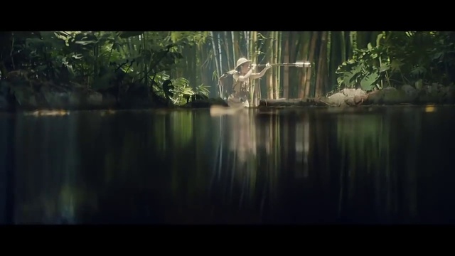 Video Reference: Nature, Reflection, Water, Forest, Natural environment, Vegetation, Water resources, Nature reserve, Woodland, Green