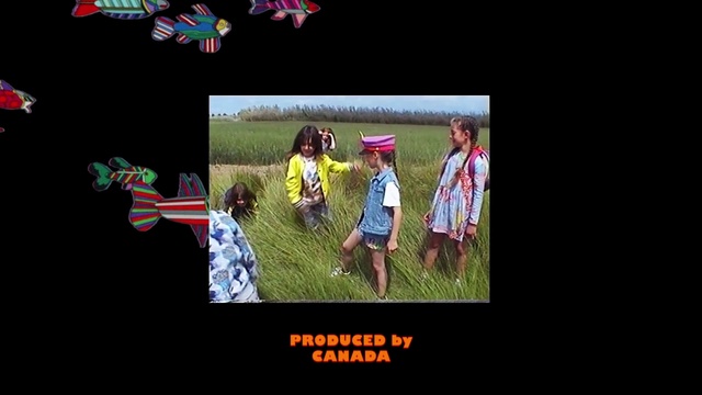 Video Reference: Adaptation, Organism, Fun, Grass, Photography, Animation, Photo caption, Fictional character, Person, Screen, Television, Room, Sign, Text, Clothing, Screenshot