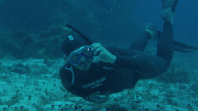 Video Reference: Underwater, Scuba diving, Divemaster, Diving equipment, Water, Aquanaut, Underwater diving, Marine biology, Recreation, Organism