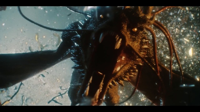 Video Reference: Organism, Invertebrate, Tarantula, Homarus gammarus, Arthropod, Decapoda