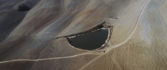 Video Reference: close up, sand, wood