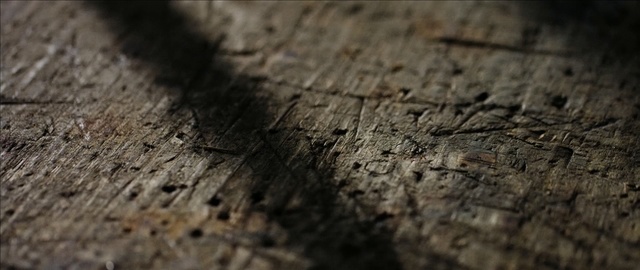 Video Reference: Brown, Soil, Close-up, Wood, Tree, Photography, Rock, Stock photography