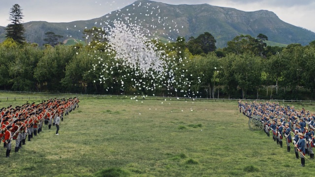 Video Reference: field, grassland, grass, pasture, plant, tree, hill station, meadow, rural area, farm