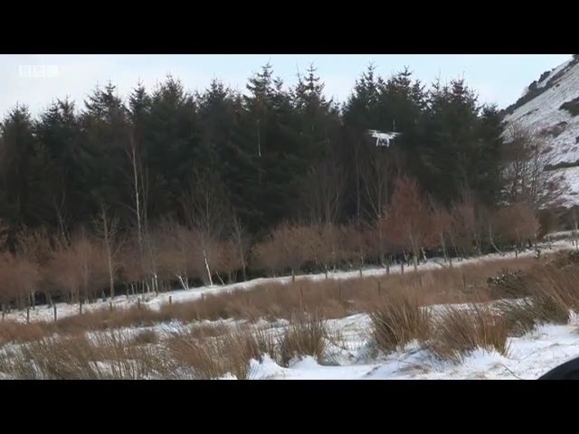 Video Reference: winter, ecosystem, snow, wilderness, sky, freezing, tree, geological phenomenon, grass family, reflection