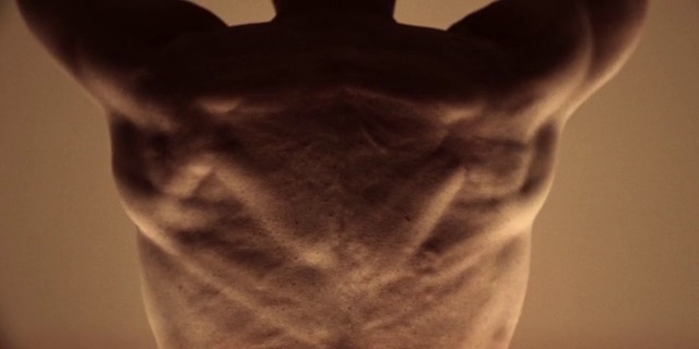 Video Reference: White, Shoulder, Joint, Neck, Arm, Muscle, Hand, Human body, Leg, T-shirt