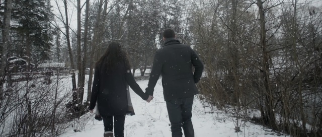 Video Reference: winter, tree, snow, freezing, woody plant, forest, path, woodland, blizzard, walking, Person