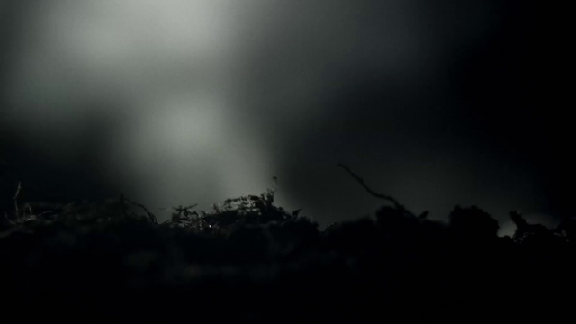 Video Reference: Sky, Black, Nature, Cloud, Darkness, Atmospheric phenomenon, Atmosphere, Light, Night, Morning