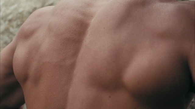Video Reference: barechestedness, man, chin, neck, muscle, close up, shoulder, back, chest, trunk