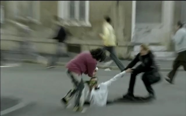 Video Reference: mammal, vertebrate, recreation, dog like mammal