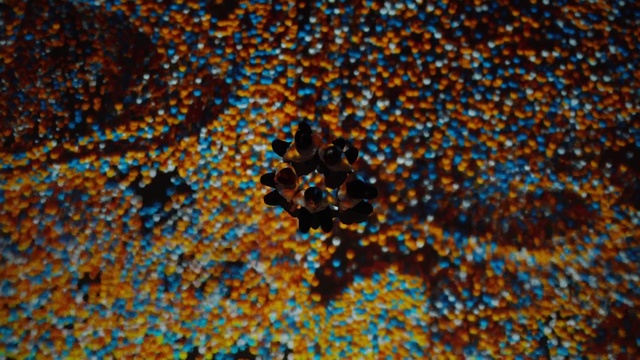 Video Reference: Organism, Macro photography, Symmetry, Pattern, Psychedelic art, Art