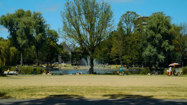 Video Reference: nature, tree, sky, park, plant, recreation, leisure, grass, lake, water