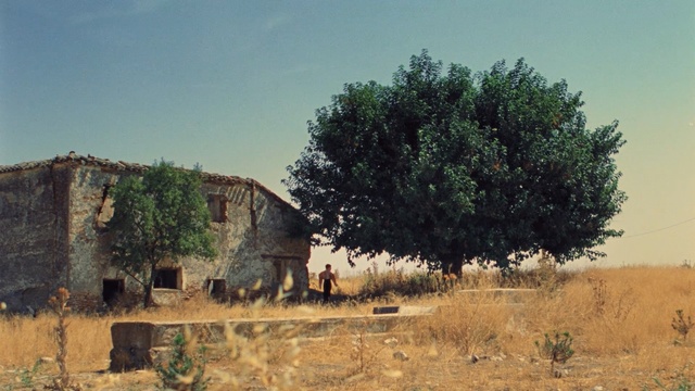 Video Reference: ecosystem, tree, rural area, village, shrubland, savanna, ruins, hut, landscape, plant community