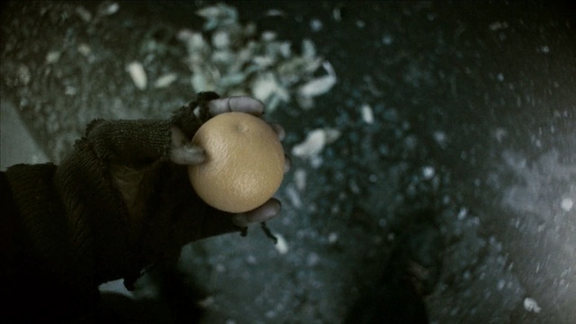 Video Reference: darkness, organism, caving, water, snails and slugs