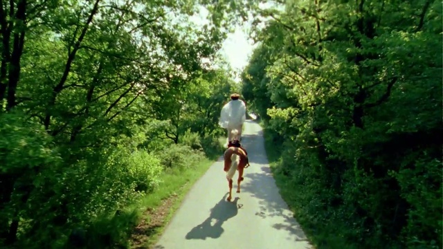 Video Reference: path, nature, ecosystem, nature reserve, trail, tree, woodland, forest, jungle, rainforest