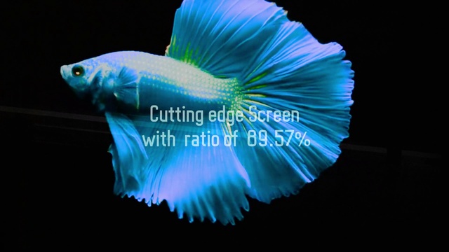 Video Reference: Blue, Turquoise, Electric blue, Turquoise, Organism, Font, Petal, Feather