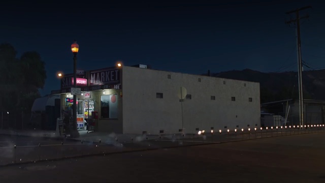 Video Reference: Night, Lighting, Light, Sky, Town, Street light, Architecture, Evening, Metropolitan area, Light fixture, Person