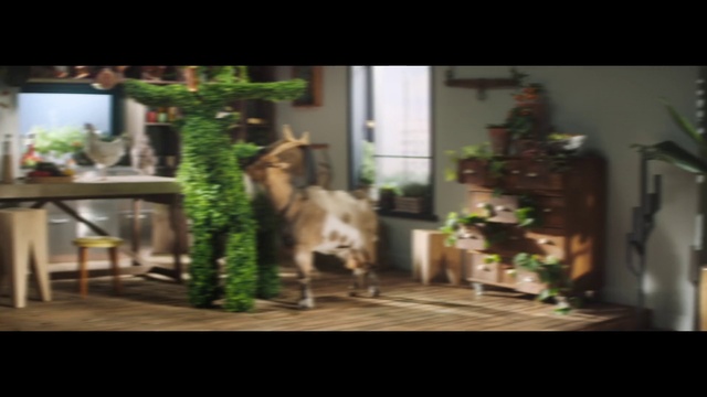 Video Reference: Tree, Houseplant, Plant, Canidae, Table, House, Wood, Home, Floor, Furniture