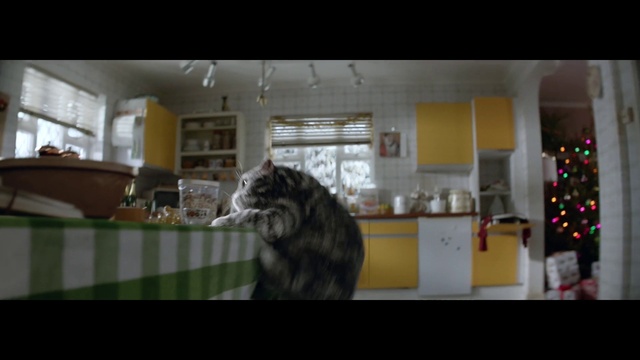 Video Reference: Snapshot, House, Room, Architecture, Photography, Fun, Cat, Screenshot, Interior design, Plant