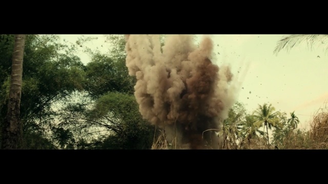 Video Reference: tree, sky, ecosystem, atmosphere, smoke, screenshot, sunlight, grass, savanna, computer wallpaper