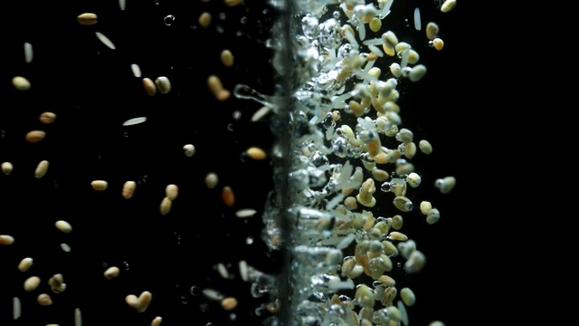 Video Reference: Organism, Water, Macro photography, Plant, Marine biology