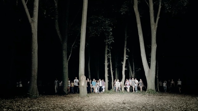 Video Reference: photograph, nature, tree, woody plant, darkness, night, light, lighting, plant, ceremony