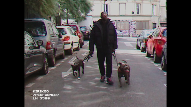 Video Reference: Dog walking, Dog, Canidae, Walking, Leash, Snapshot, Pedestrian, Dog breed, Guard dog, Street, Person